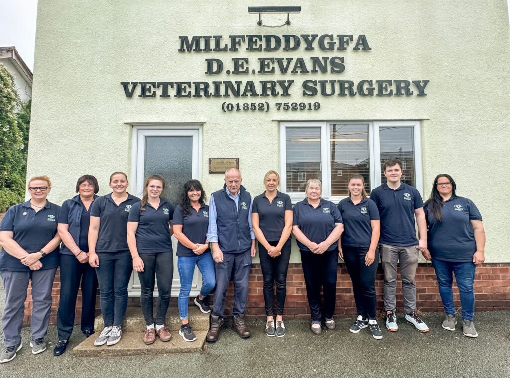 About Us Evans Vets